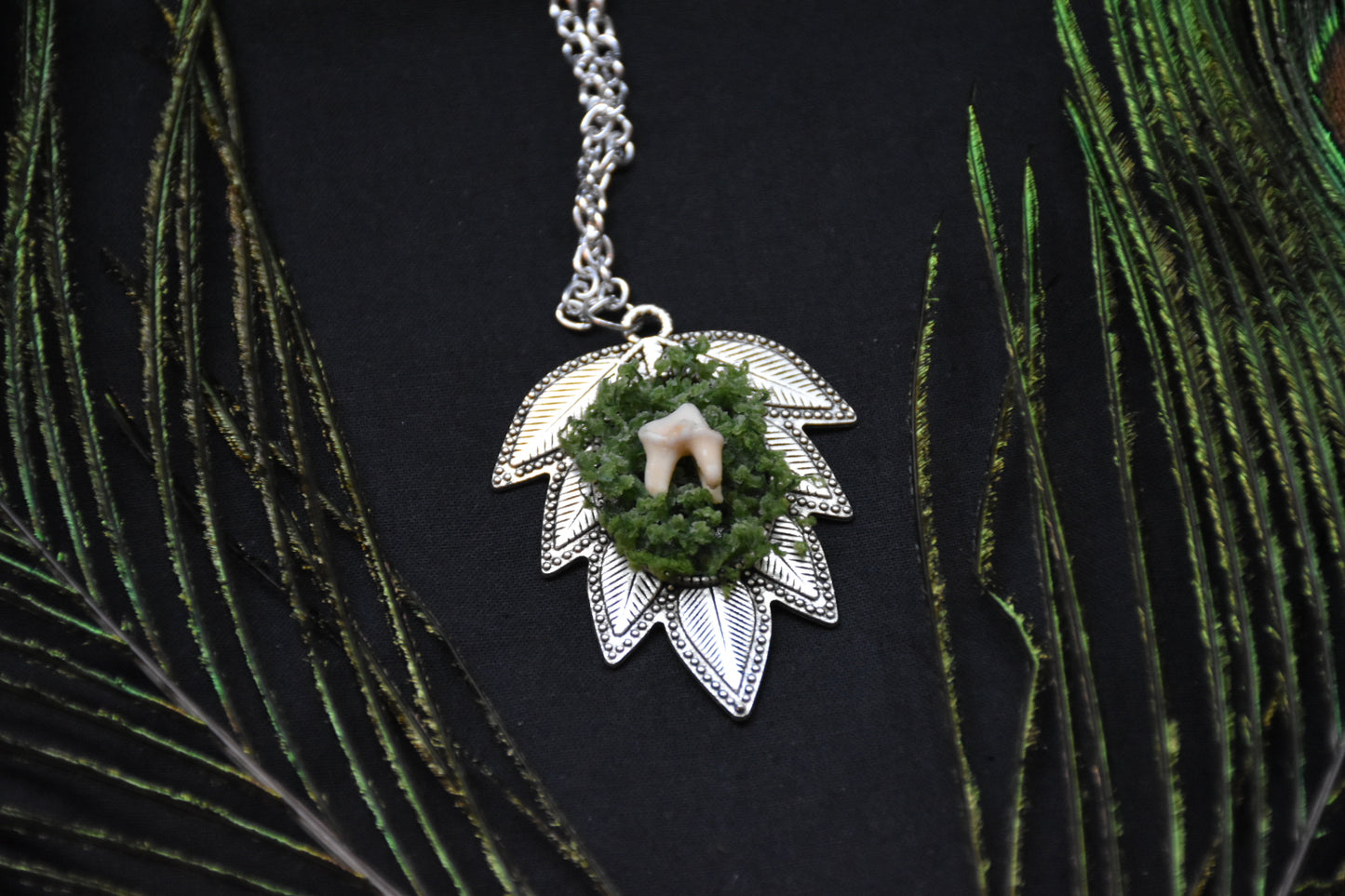Mossy tooth necklaces