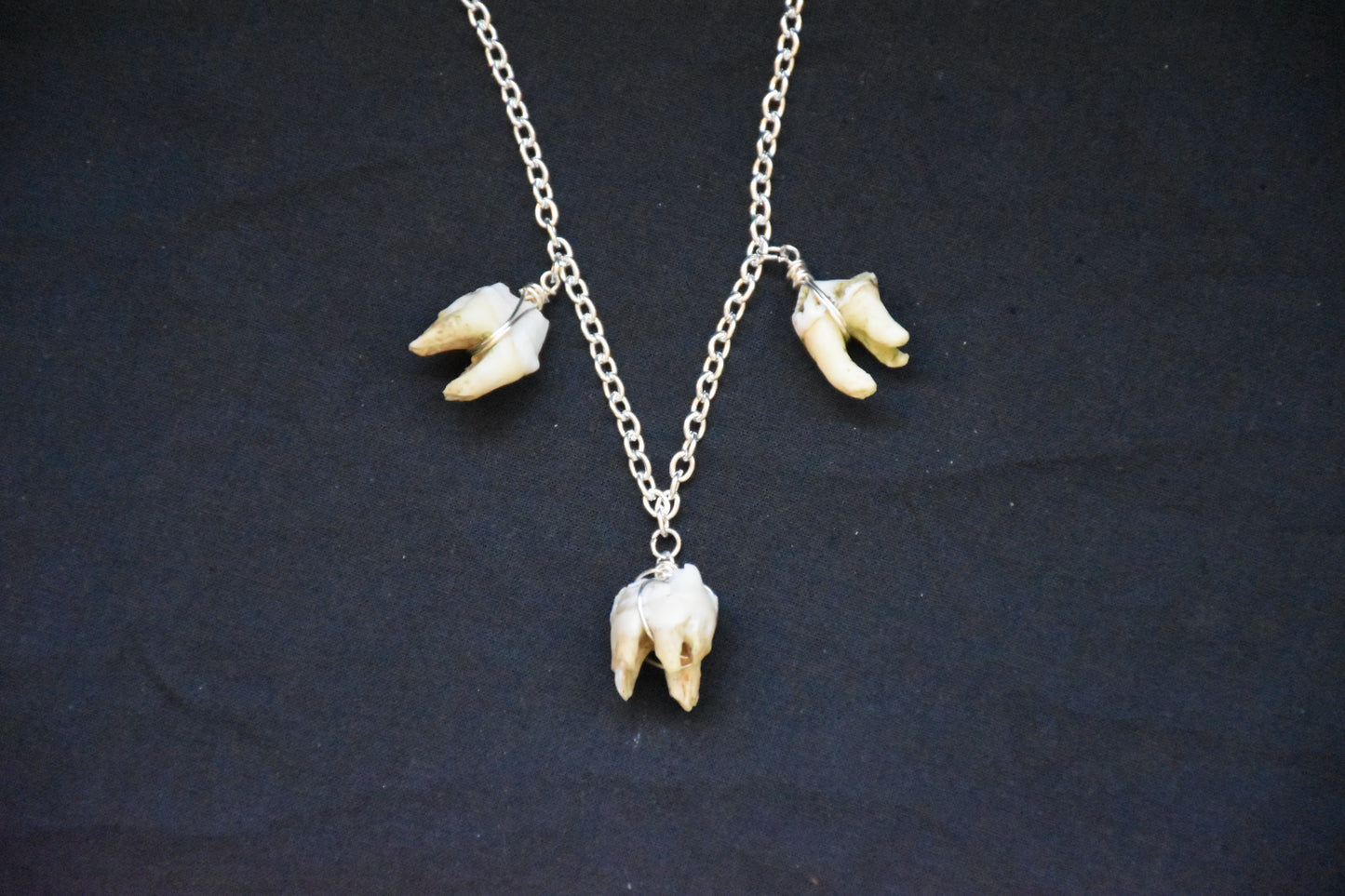 Simple three teeth necklaces