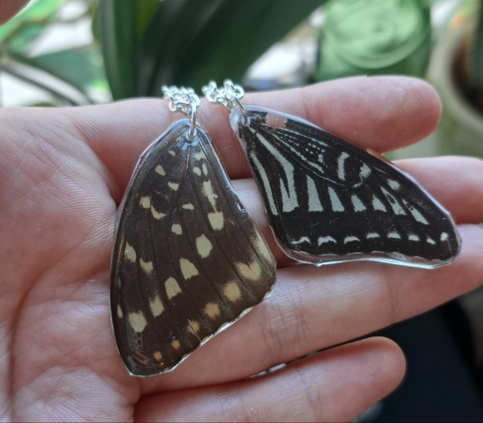 Butterfly wing necklace