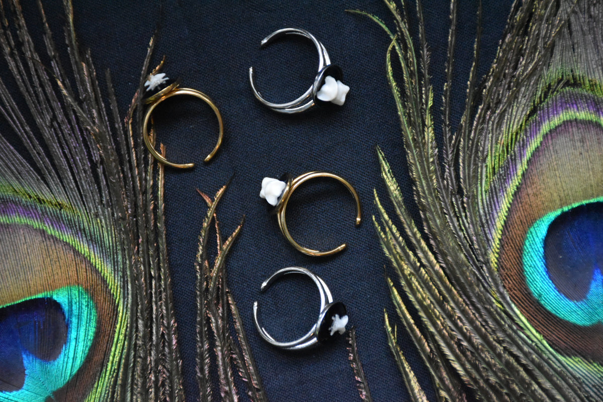 Little bone ring