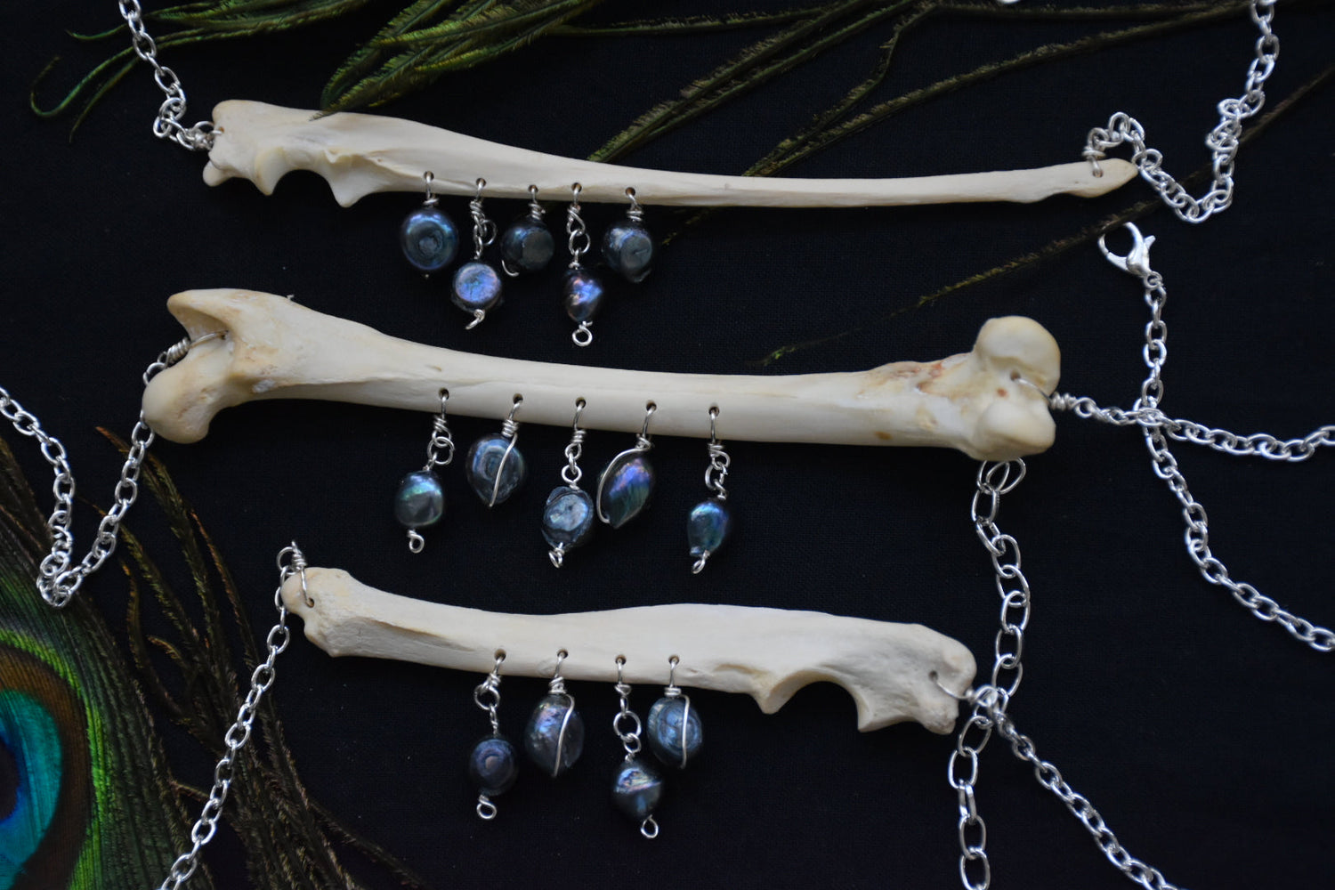 Bones