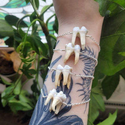 Boar tooth bracelet