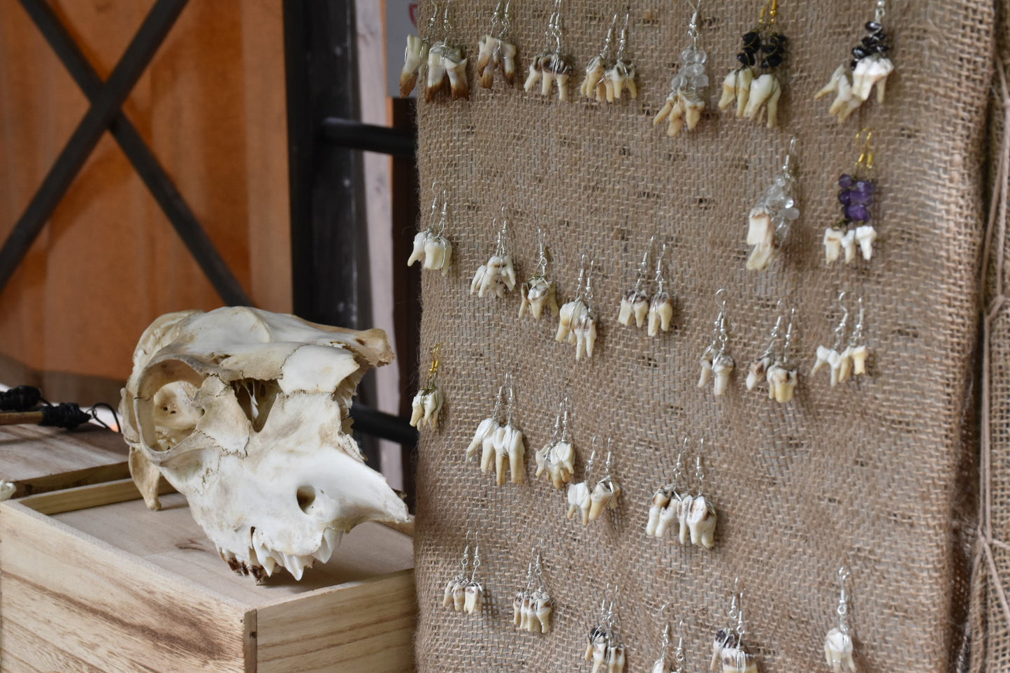 Crystal teeth earrings