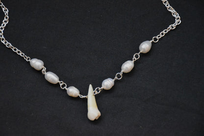 Human teeth necklace