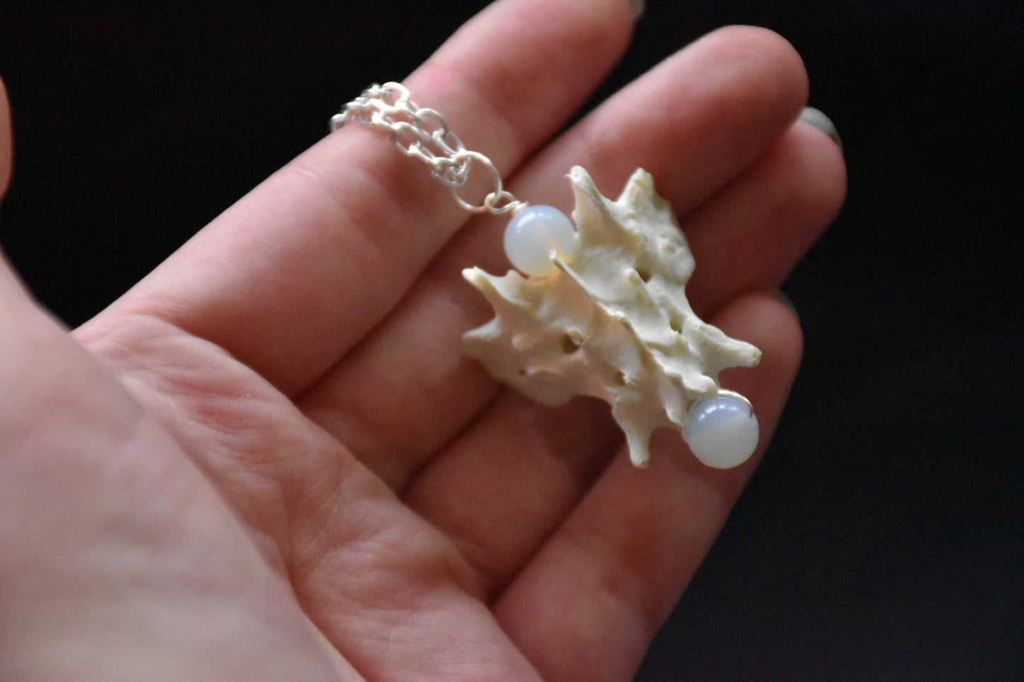 Cat spine necklaces