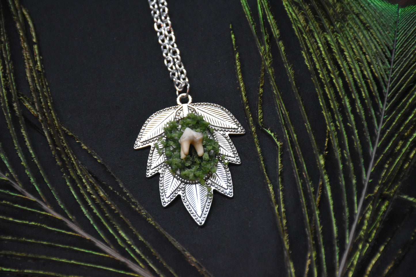 Mossy tooth necklaces