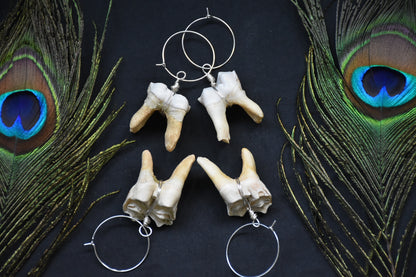 Elk tooth earweight
