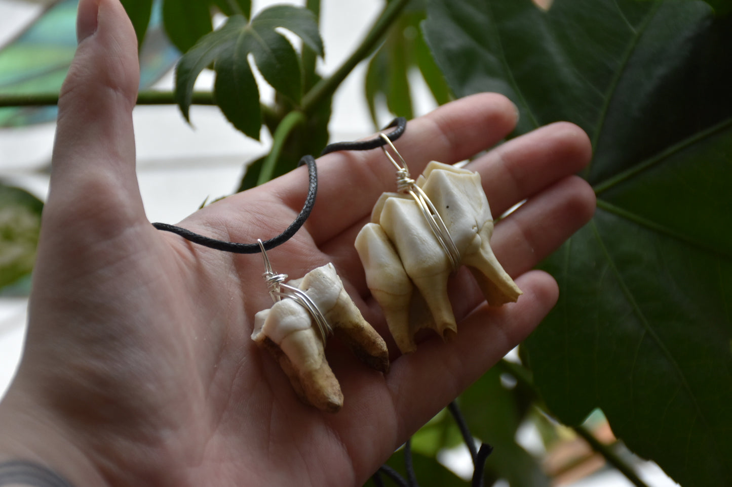 Elk tooth necklace