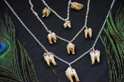 Simple three teeth necklaces