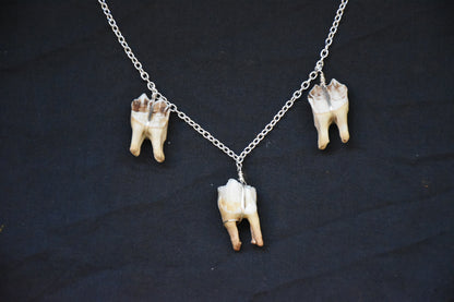 Simple three teeth necklaces