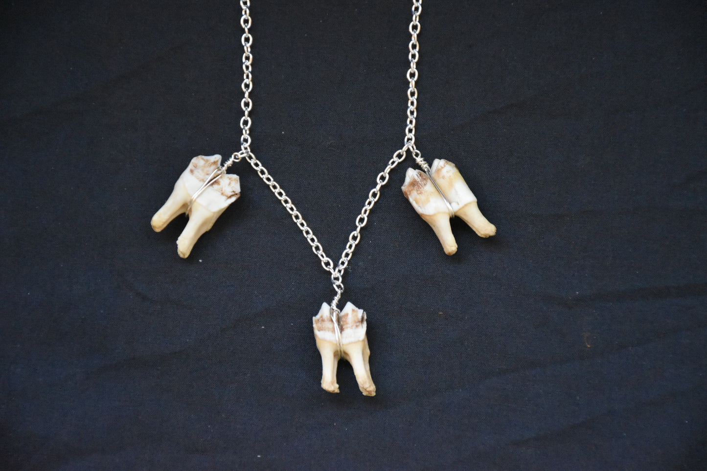 Simple three teeth necklaces