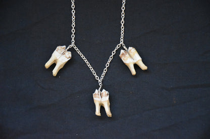 Simple three teeth necklaces