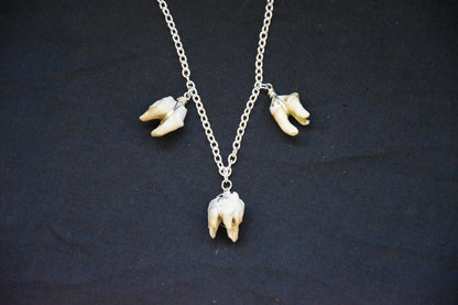 Simple three teeth necklaces