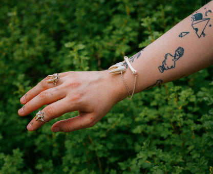Boar tooth bracelet