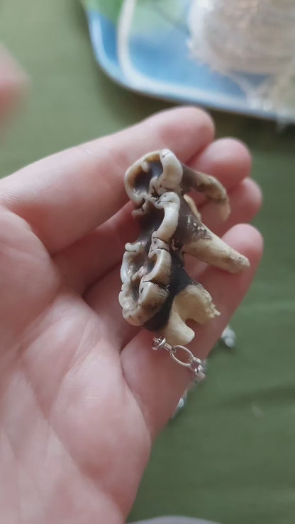 Worn tooth necklace