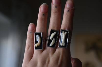 black frame bone ring
