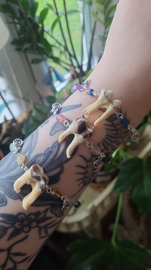 Rainbow crystal tooth bracelet