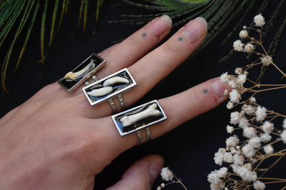 black frame bone ring