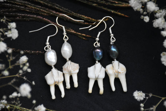 Tooth pearl earrings