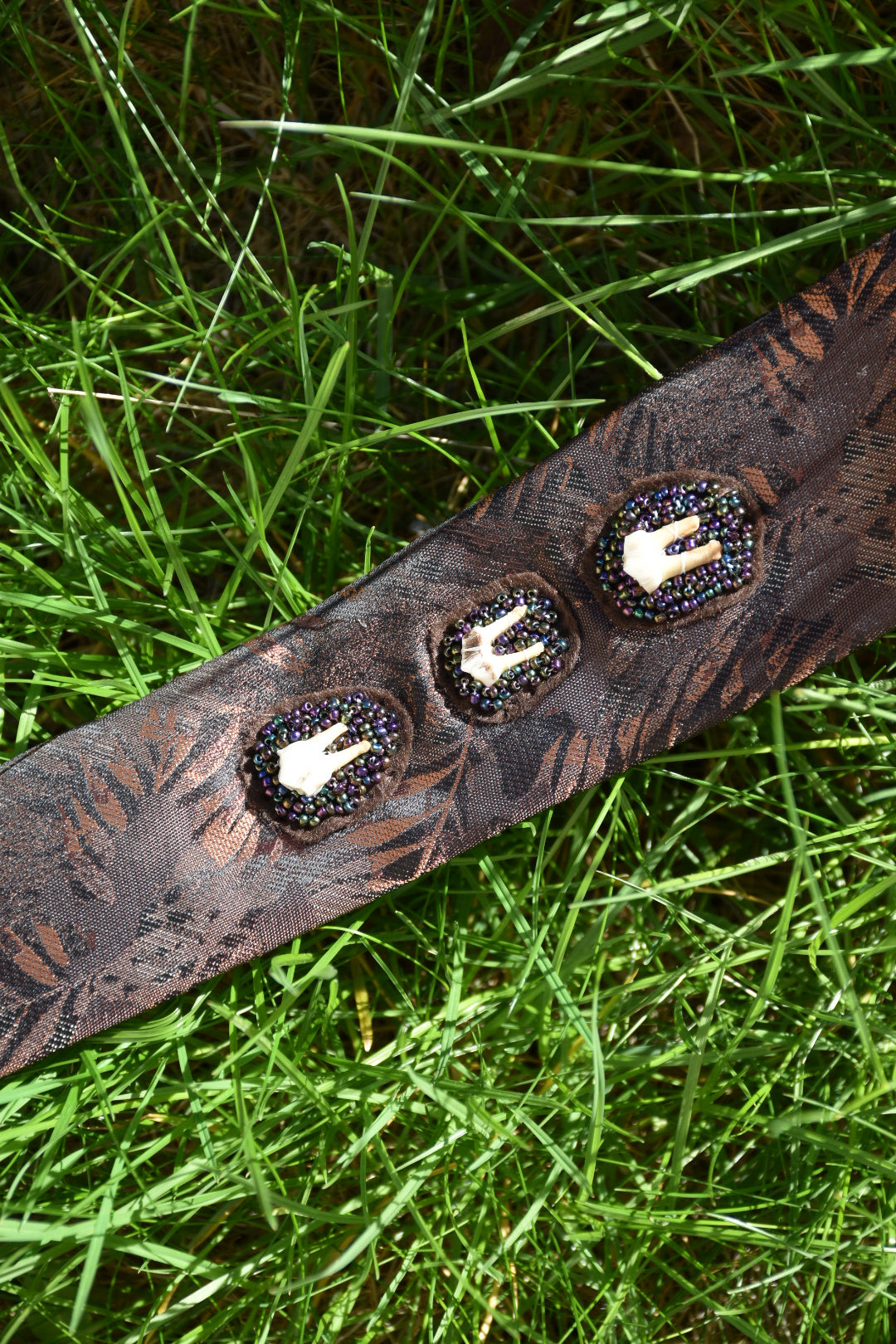 Brown tooth tie