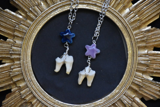 Fox tooth necklace