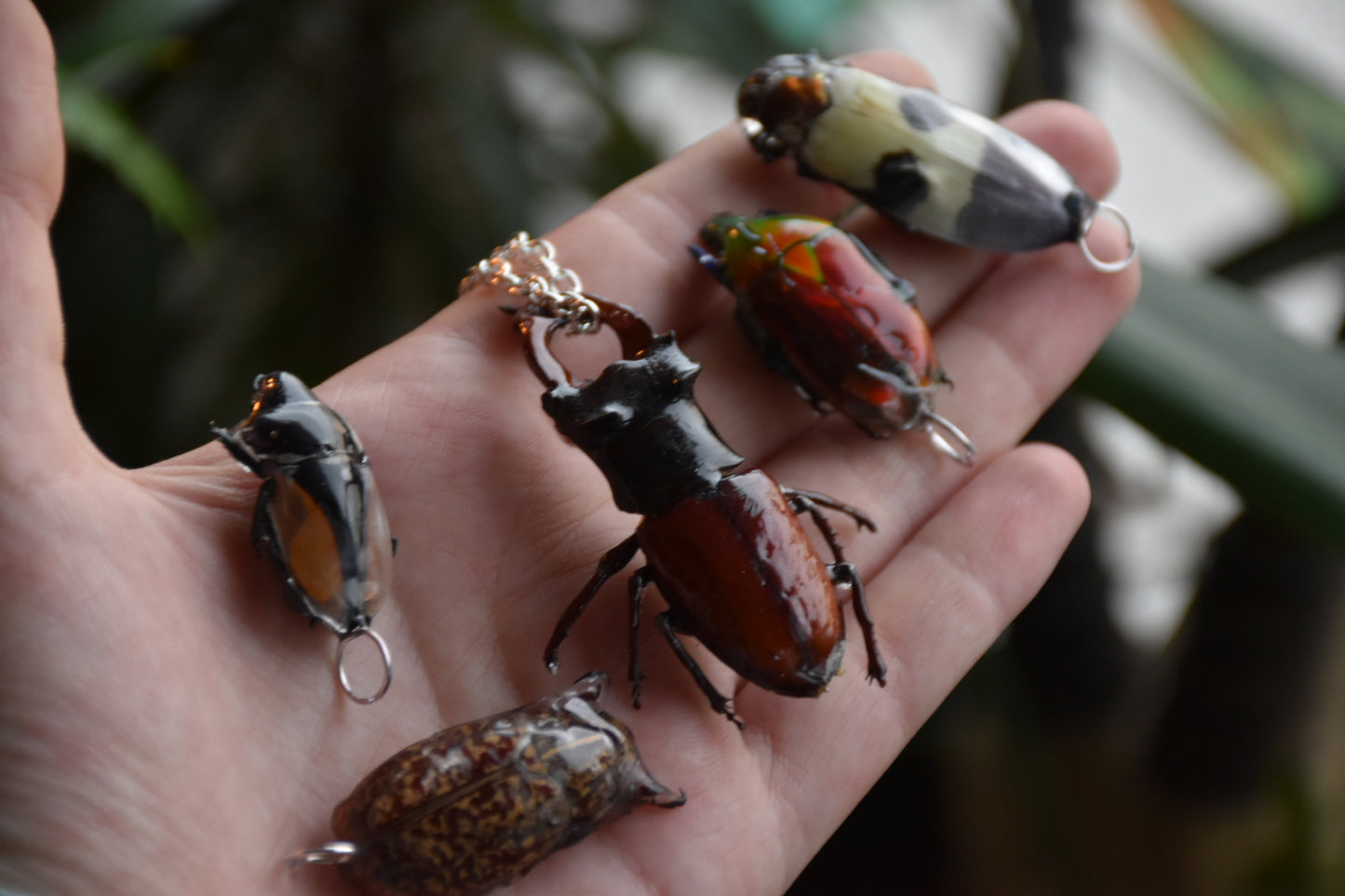 Big bug necklaces