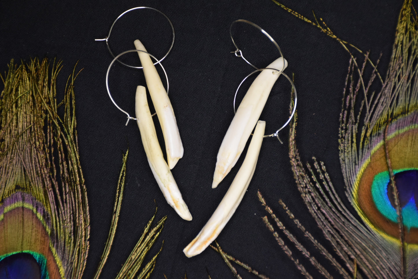 Boar tusk hoop earrings