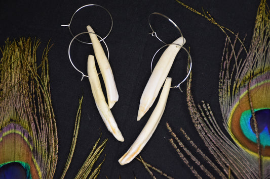 Boar tusk hoop earrings