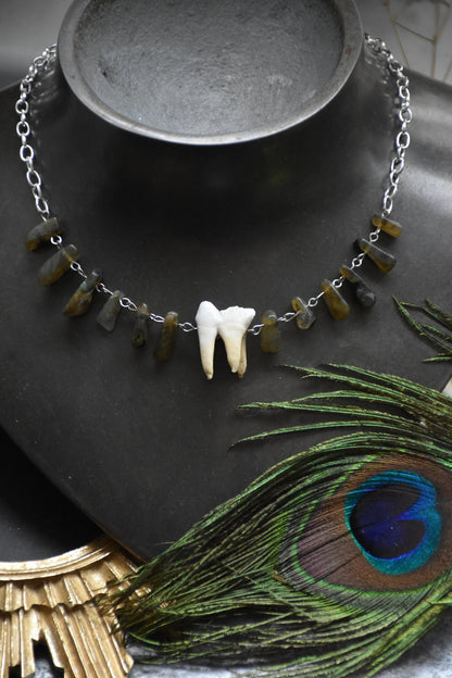 Labradorite tooth choker